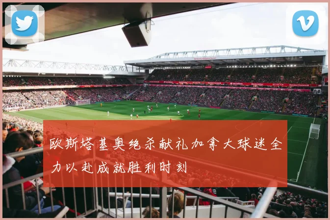 欧斯塔基奥绝杀献礼加拿大球迷全力以赴成就胜利时刻